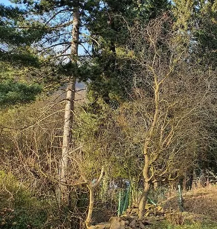 1step2allnature Tinyhouse *