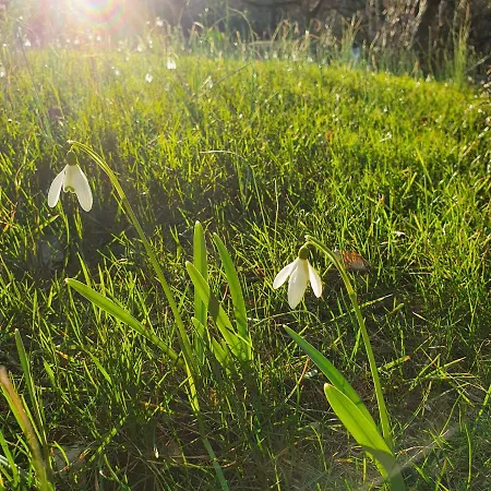 1step2allnature Tinyhouse