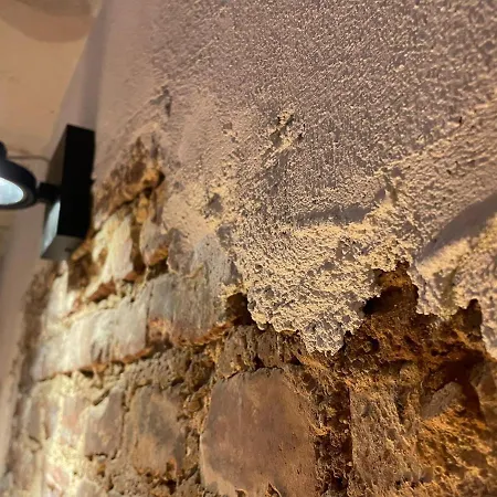 بيت للعطل 1step2allnature Tinyhouse