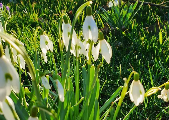 1step2allnature Tinyhouse *