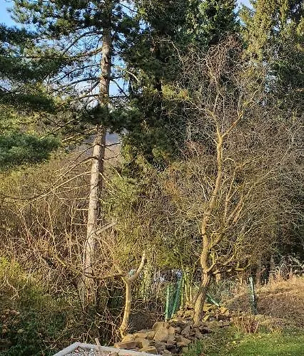 1step2allnature Tinyhouse *