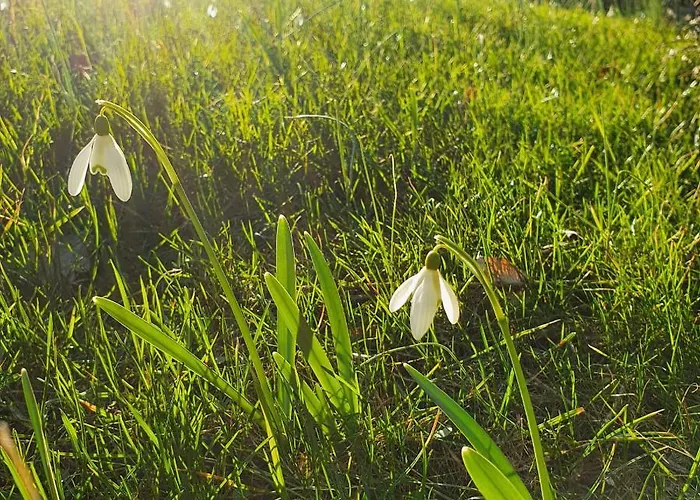 1step2allnature Tinyhouse